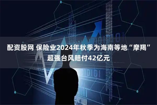 配资股网 保险业2024年秋季为海南等地“摩羯”超强台风赔付42亿元