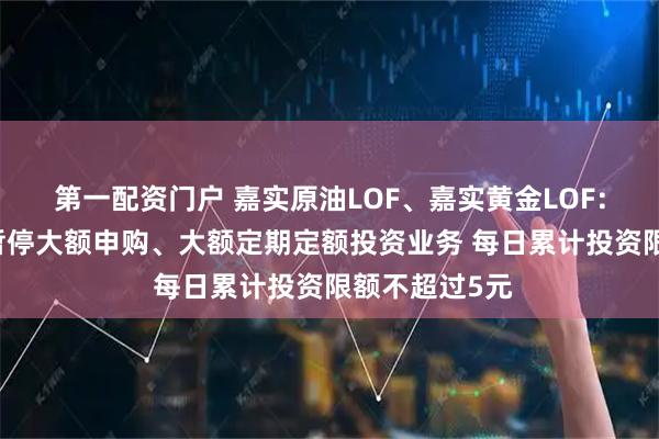 第一配资门户 嘉实原油LOF、嘉实黄金LOF：自2月2日起暂停大额申购、大额定期定额投资业务 每日累计投资限额不超过5元