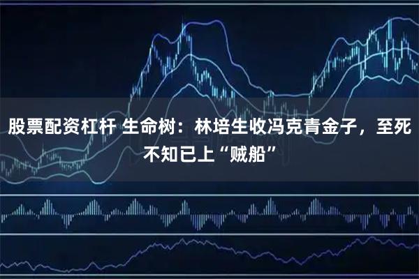 股票配资杠杆 生命树：林培生收冯克青金子，至死不知已上“贼船”