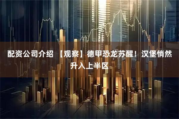 配资公司介绍 【观察】德甲恐龙苏醒！汉堡悄然升入上半区