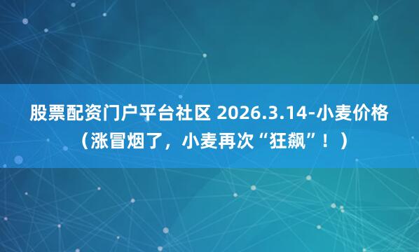 股票配资门户平台社区 2026.3.14-小麦价格（涨冒烟了，小麦再次“狂飙”！）