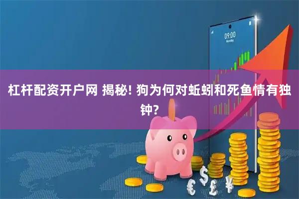 杠杆配资开户网 揭秘! 狗为何对蚯蚓和死鱼情有独钟?