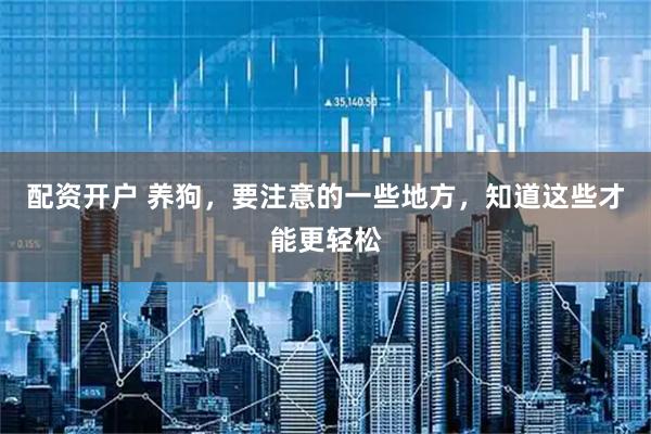 配资开户 养狗，要注意的一些地方，知道这些才能更轻松